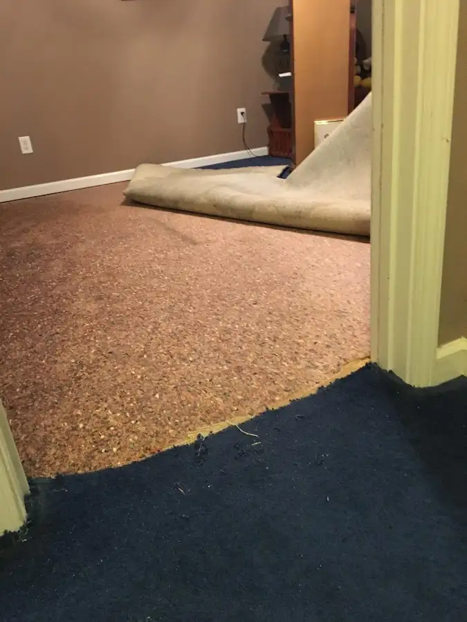 Carpet pad removal revealing water damage during Water Mitigation Services in Pataskala