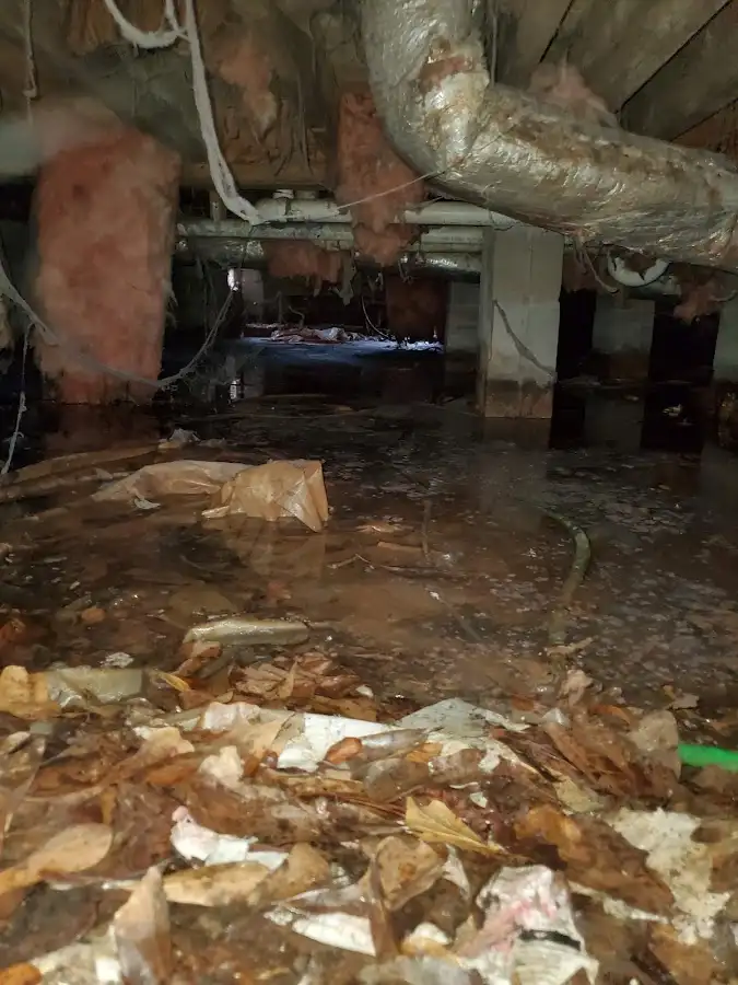 Crawl space flood assessment for Leak Detection & Repair in Pataskala